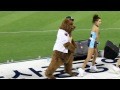 L'orso della Vodaphone balla ~ PSY - GANGNAM STYLE