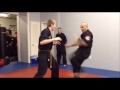 Gangnam syle martial arts SO FUNNY!